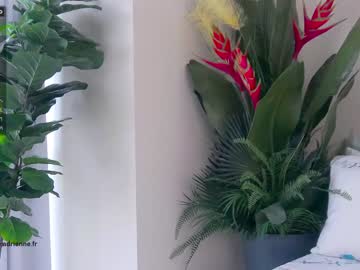 cam girl belle_adrienne image #1727751