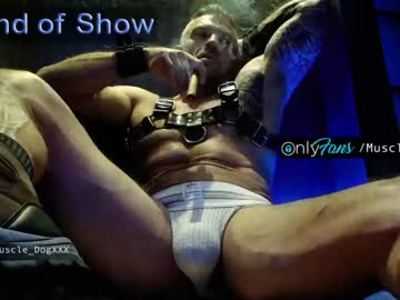 cam man muscle_dog image #1633358