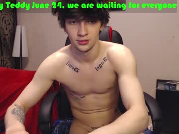 cam man teddy_mode image #2025691