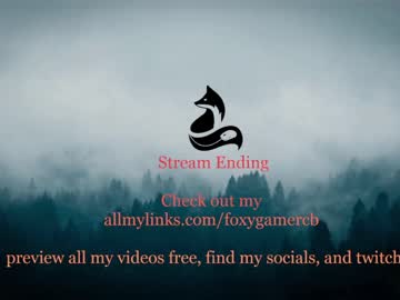 cam girl foxy_gamer image #3893712