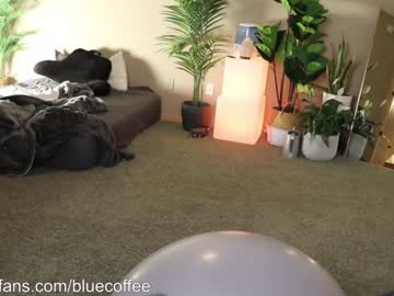 cam man bluecoffee image #1373839