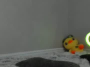 cam girl meryfoxxx image #1779542