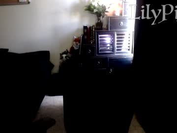 cam girl lilypixel image #1481370