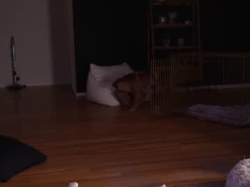 cam girl marymoody image #3341860