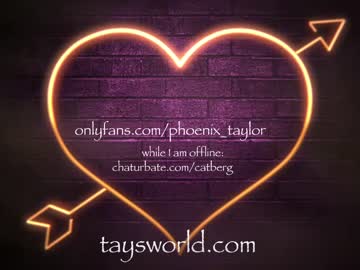 cam girl phoenix_taylor image #2424047
