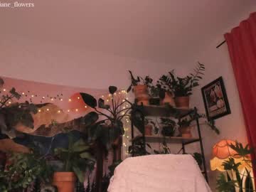 cam girl jane_flowers image #1422578