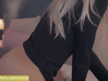 cam girl ocicat image #1410792