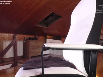 cam girl wildtequilla image #1156440