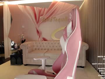 cam girl wildtequilla image #3818814