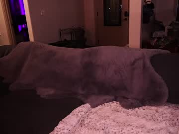 cam girl kaileeshy image #700262
